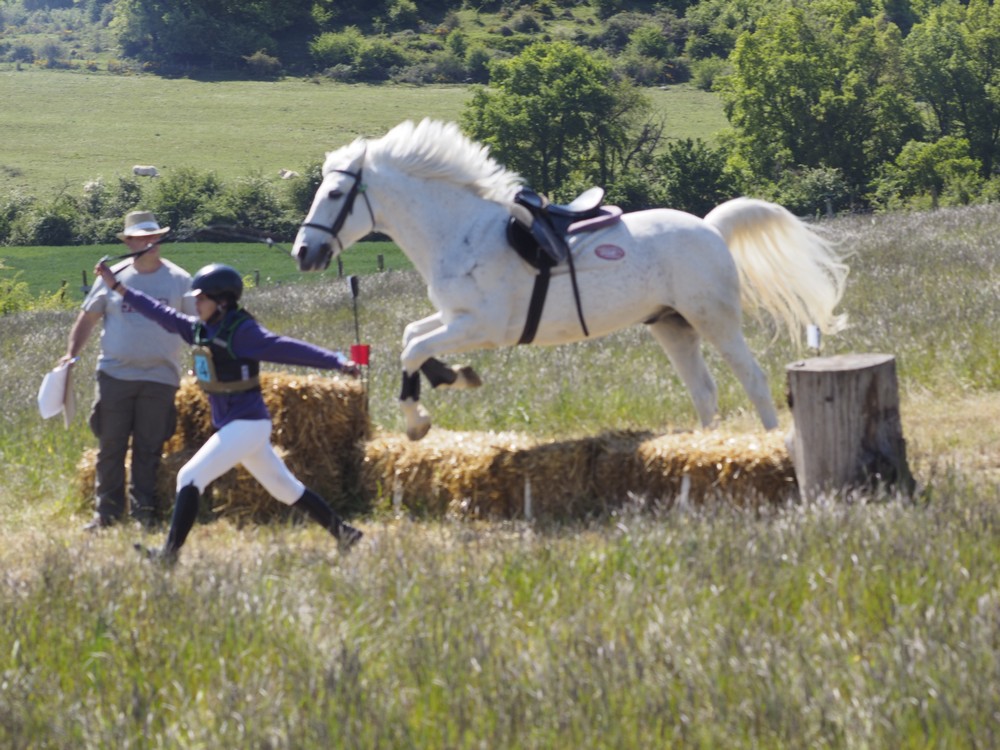 Zolina acogió el Campeonato Navarro de TREC